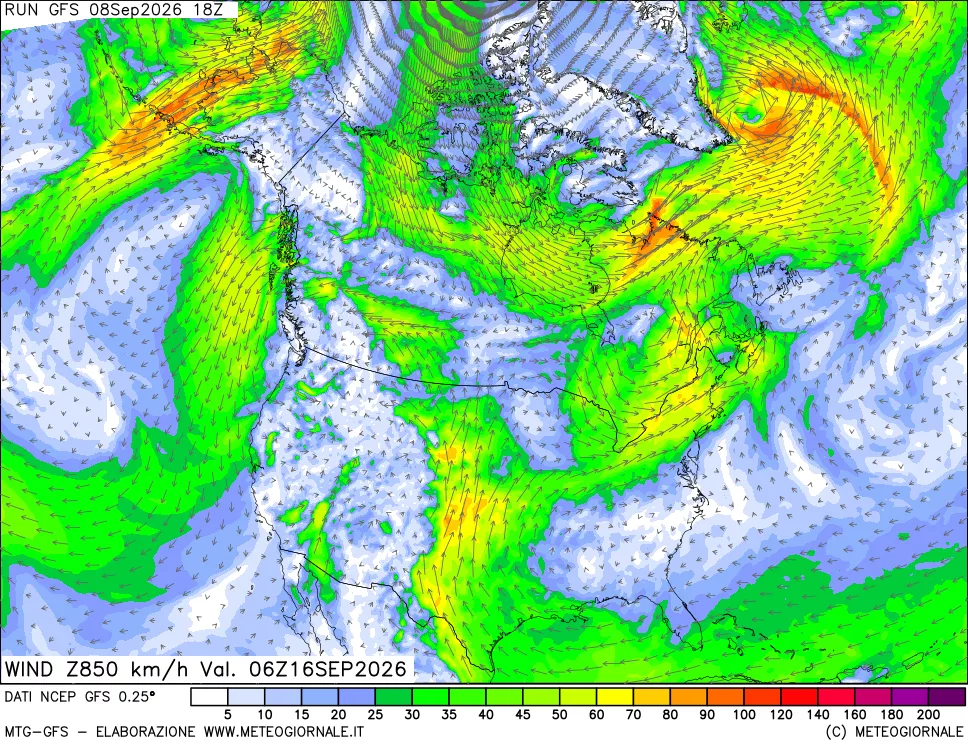 mappa 850 hPa Vento forza e direzione