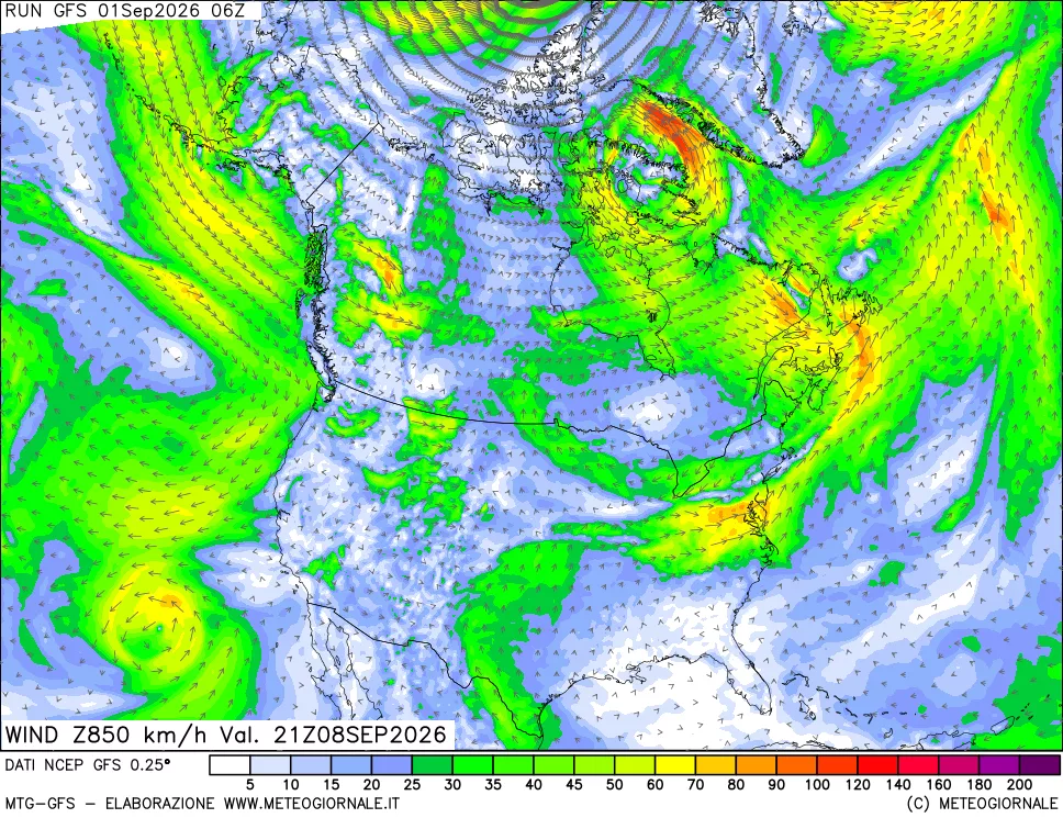 mappa 850 hPa Vento forza e direzione