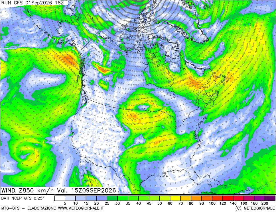 mappa 850 hPa Vento forza e direzione