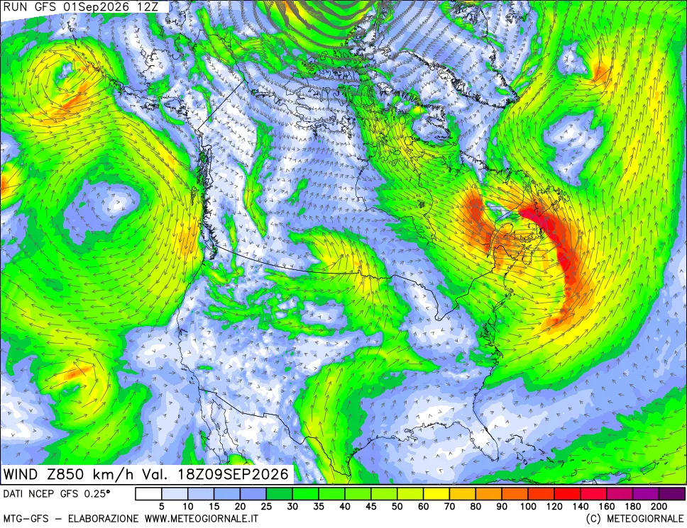 mappa 850 hPa Vento forza e direzione