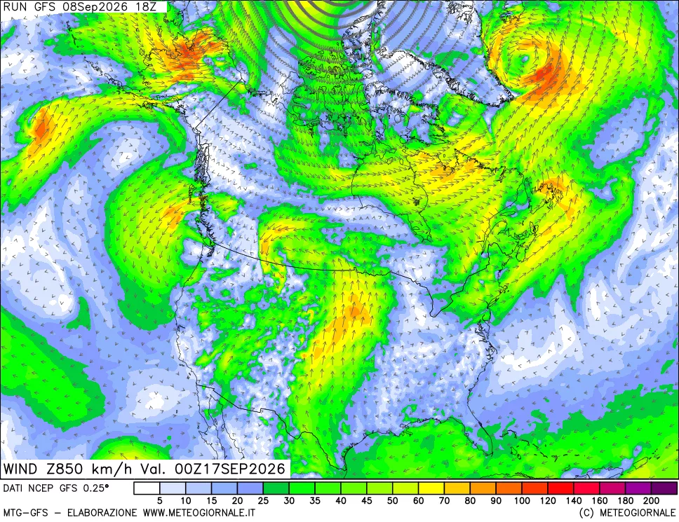 mappa 850 hPa Vento forza e direzione