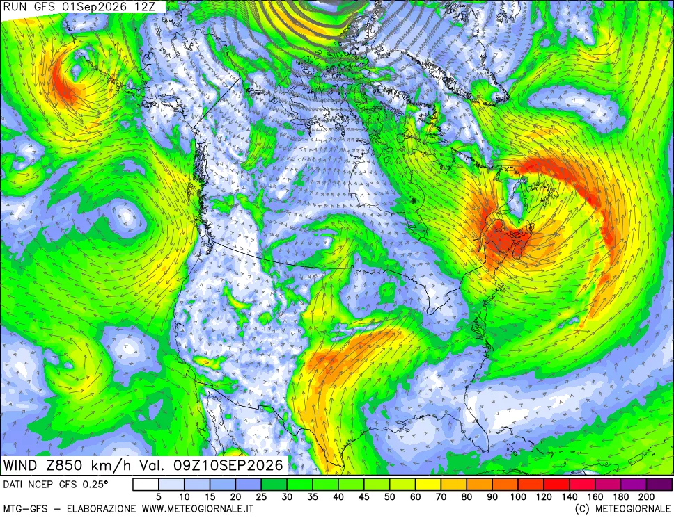 mappa 850 hPa Vento forza e direzione