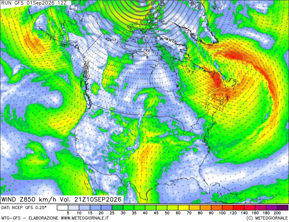 mappa 850 hPa Vento forza e direzione