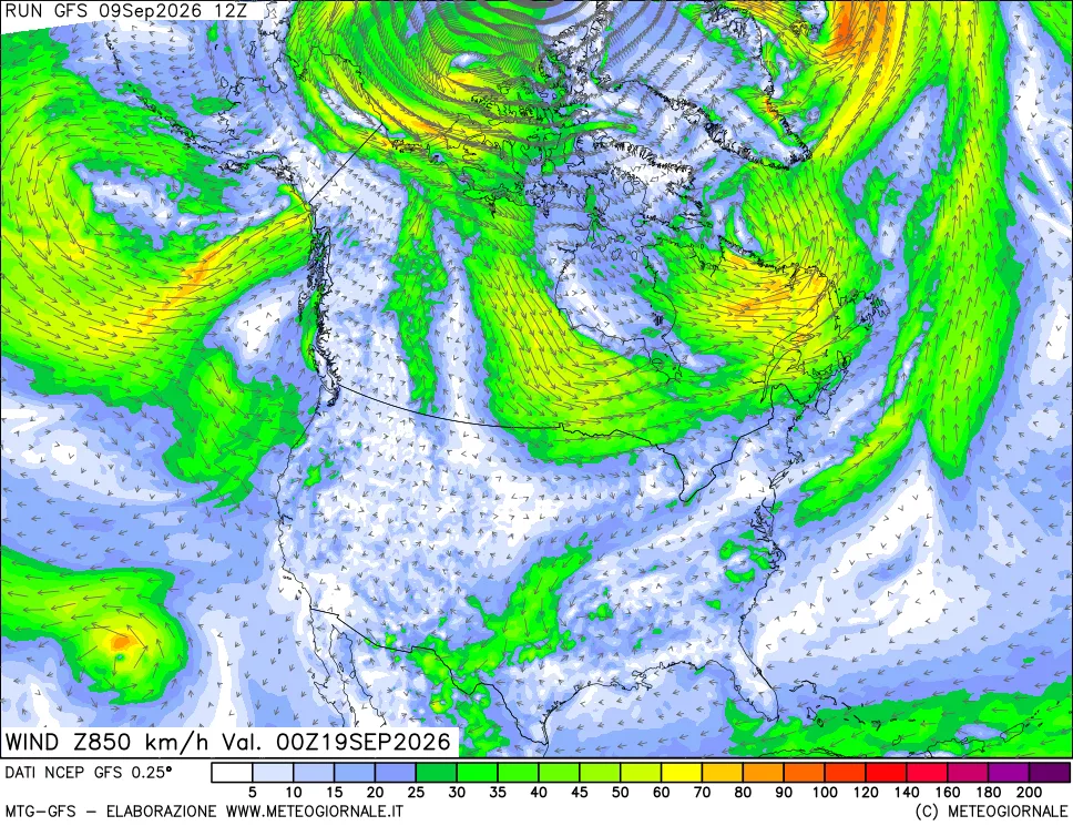 mappa 850 hPa Vento forza e direzione