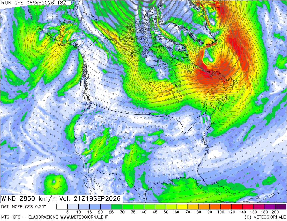 mappa 850 hPa Vento forza e direzione