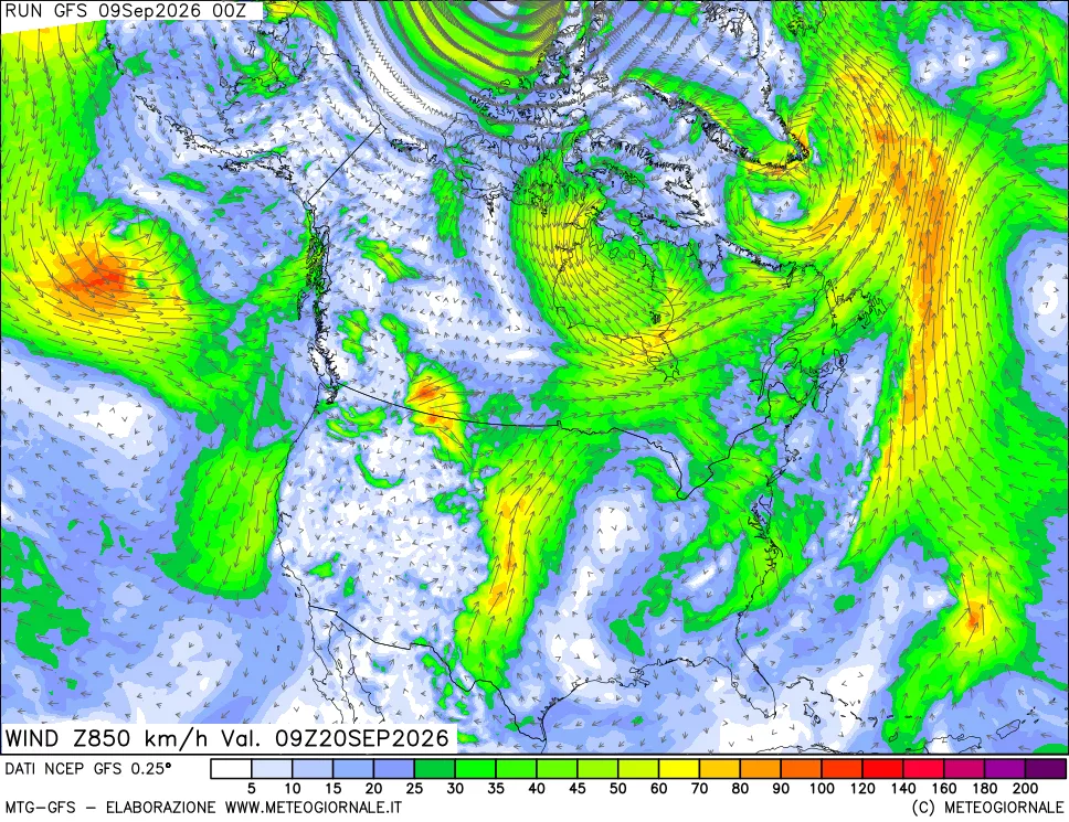 mappa 850 hPa Vento forza e direzione