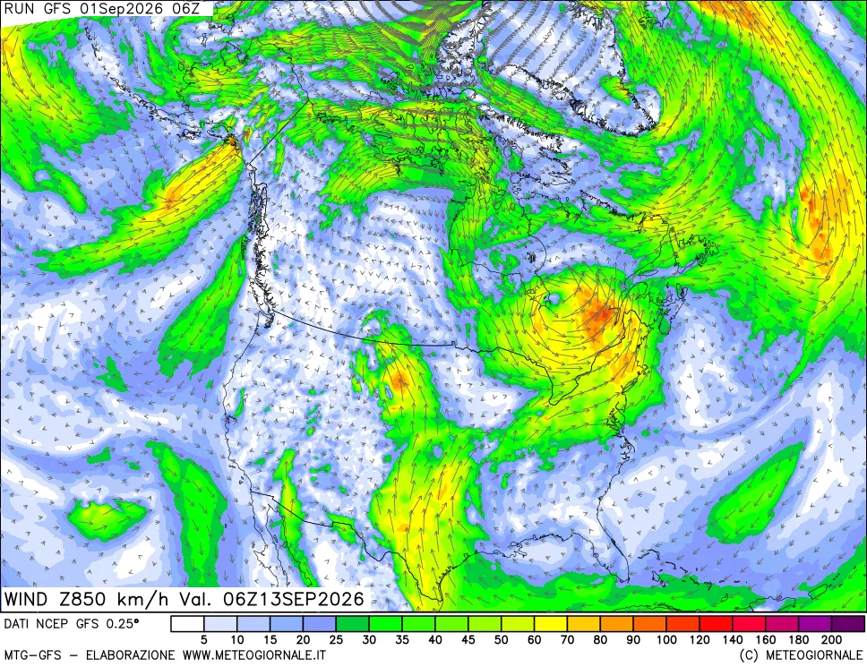 mappa 850 hPa Vento forza e direzione