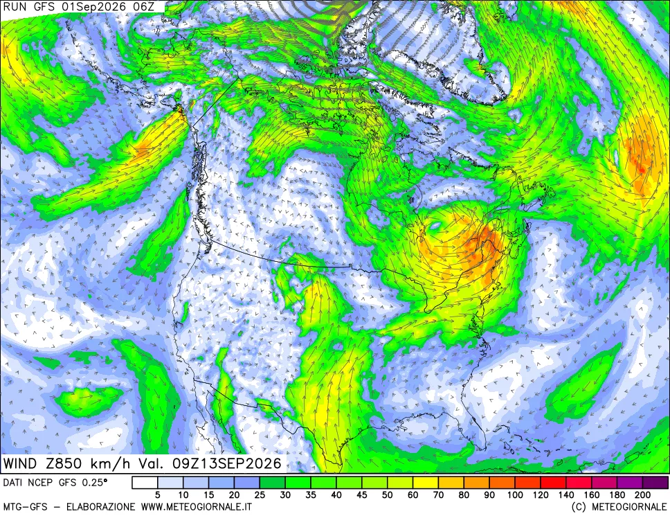 mappa 850 hPa Vento forza e direzione