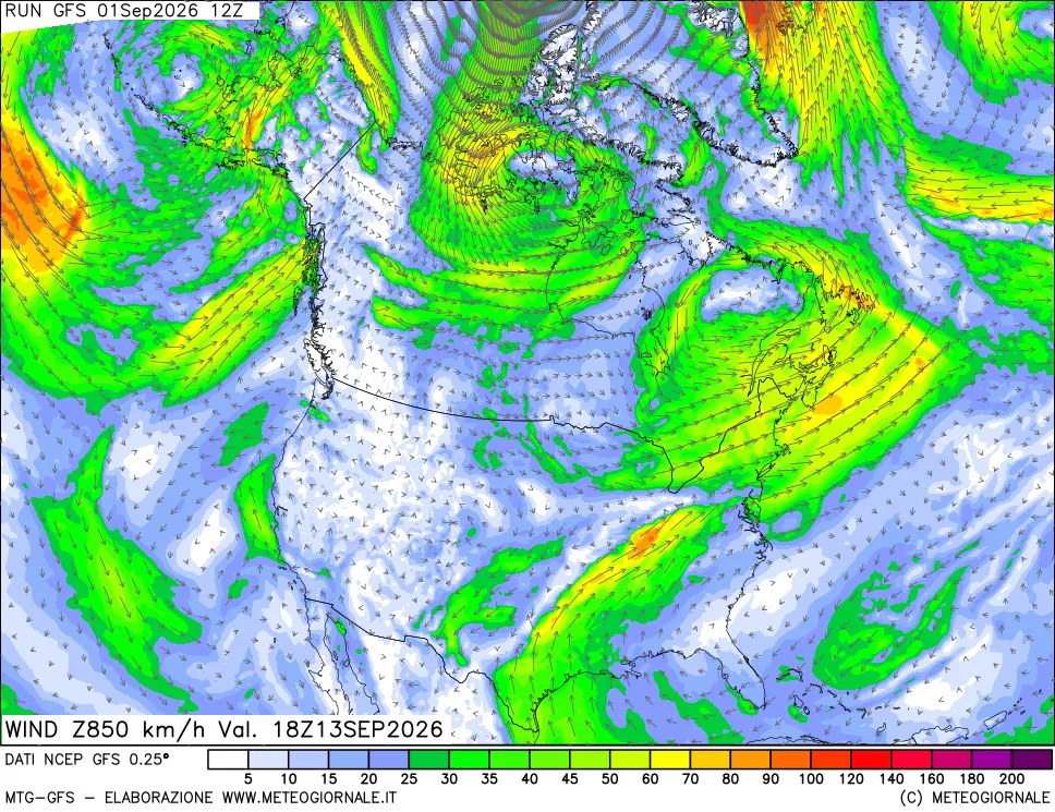 mappa 850 hPa Vento forza e direzione