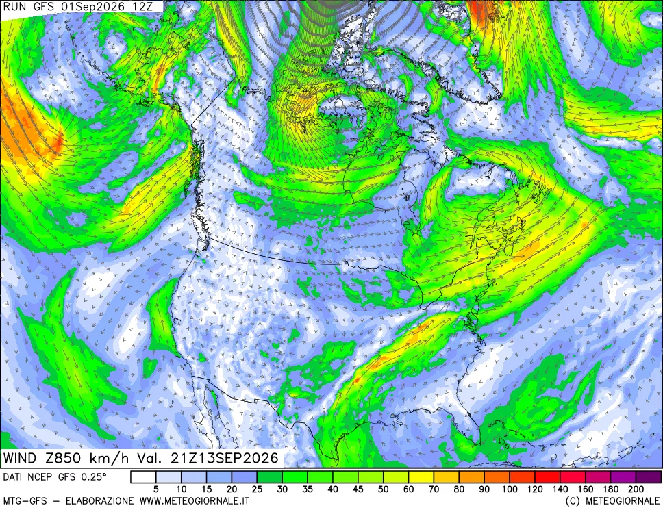 mappa 850 hPa Vento forza e direzione