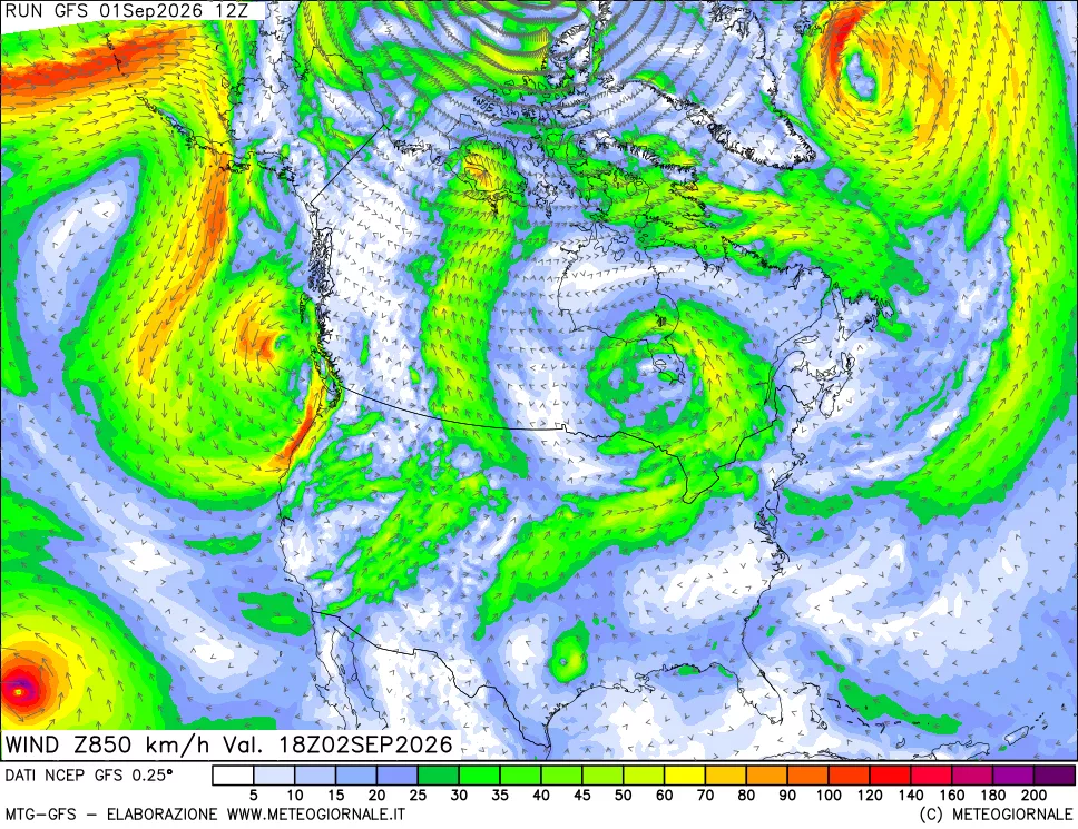 mappa 850 hPa Vento forza e direzione