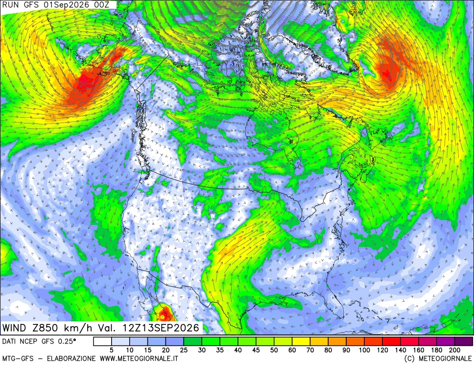 mappa 850 hPa Vento forza e direzione