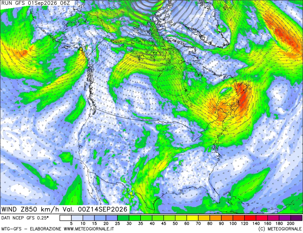 mappa 850 hPa Vento forza e direzione