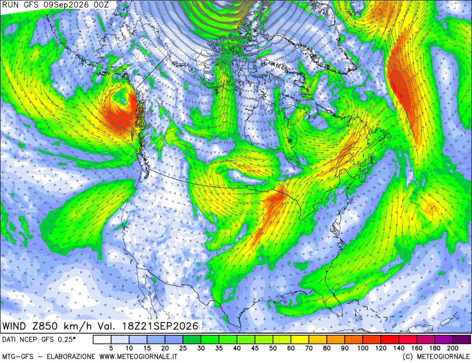 mappa 850 hPa Vento forza e direzione