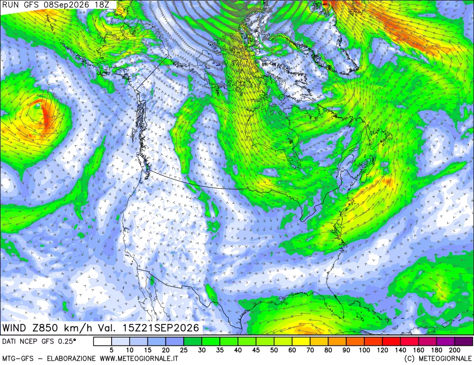 mappa 850 hPa Vento forza e direzione