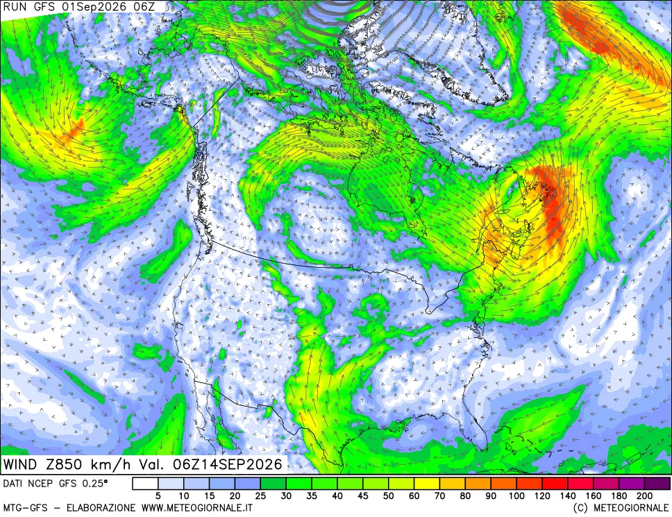 mappa 850 hPa Vento forza e direzione