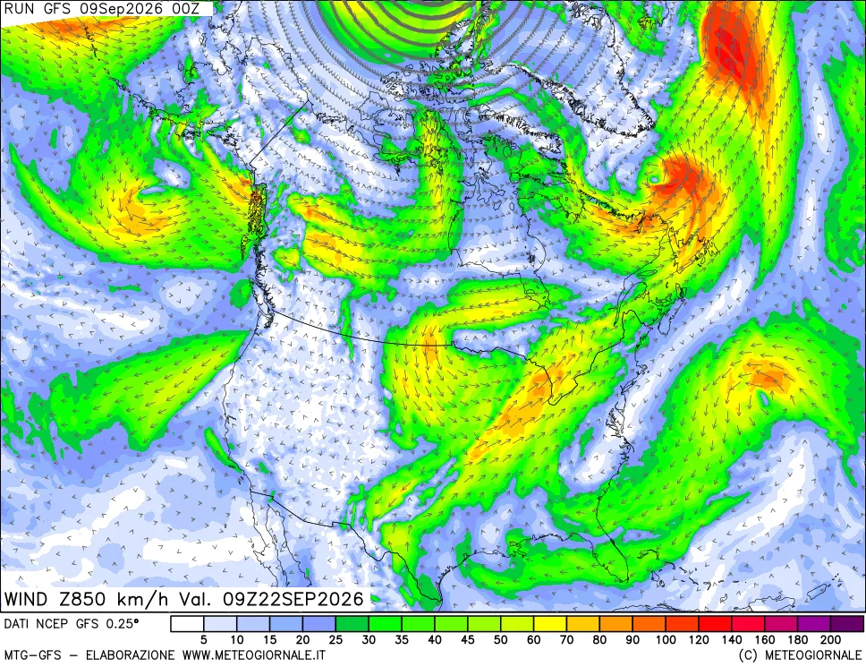 mappa 850 hPa Vento forza e direzione