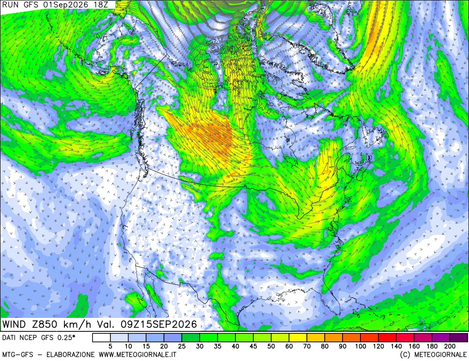 mappa 850 hPa Vento forza e direzione