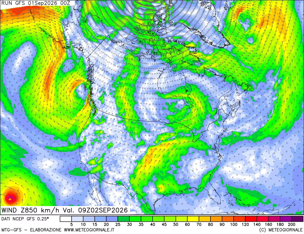 mappa 850 hPa Vento forza e direzione