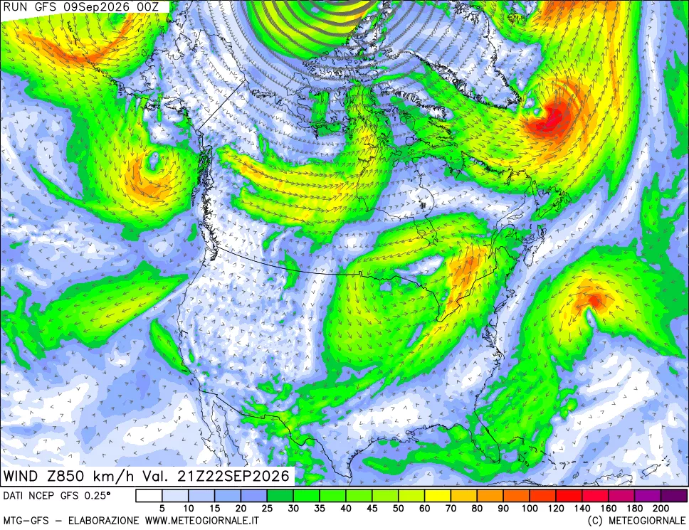 mappa 850 hPa Vento forza e direzione