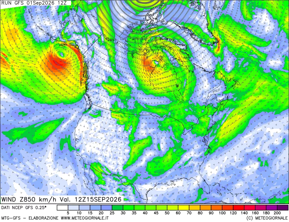 mappa 850 hPa Vento forza e direzione