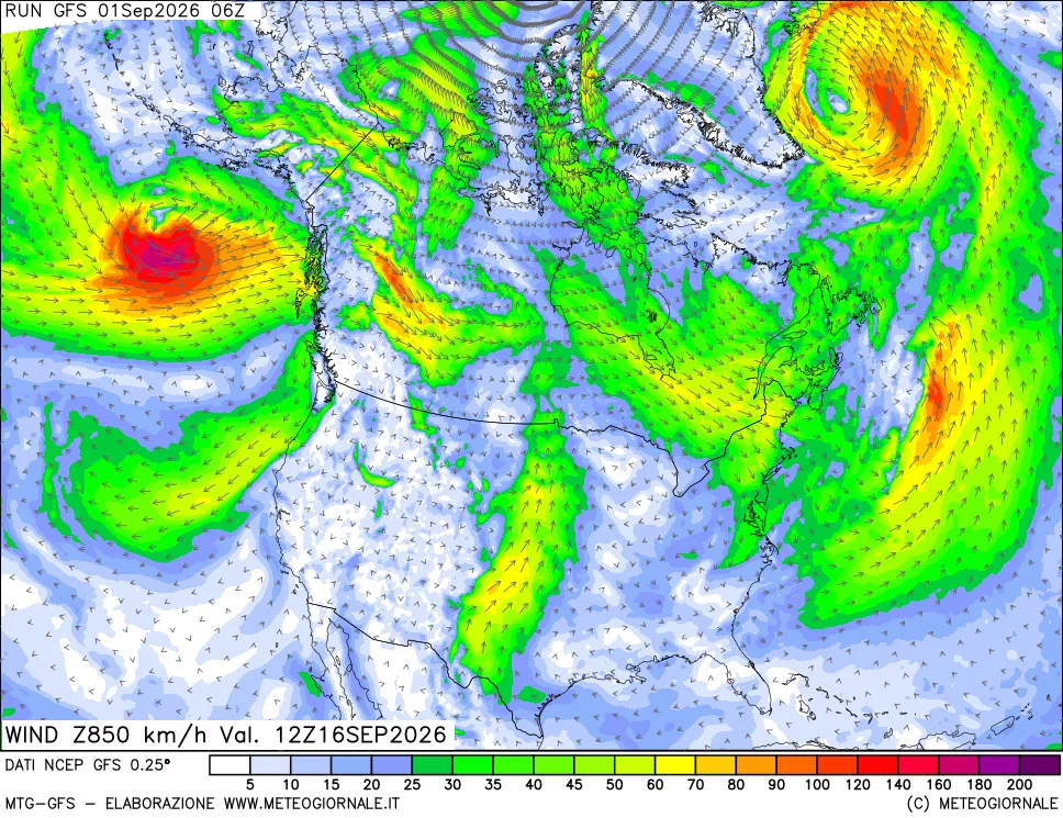 mappa 850 hPa Vento forza e direzione