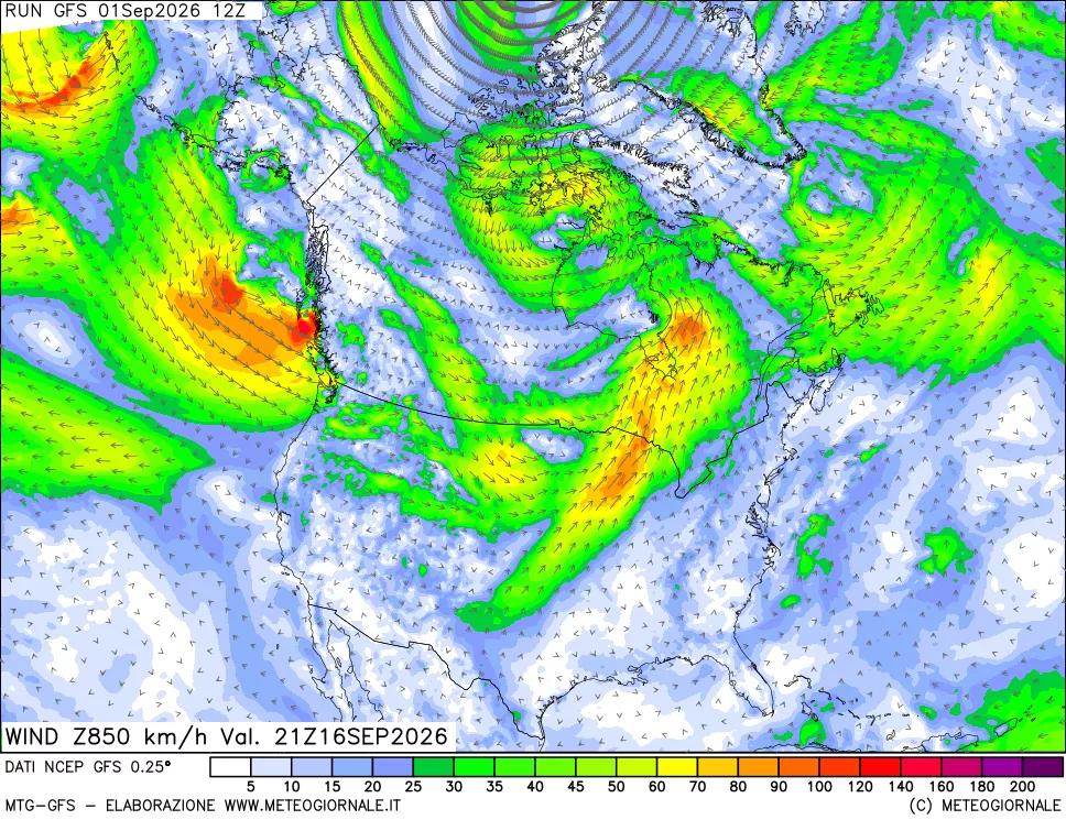 mappa 850 hPa Vento forza e direzione