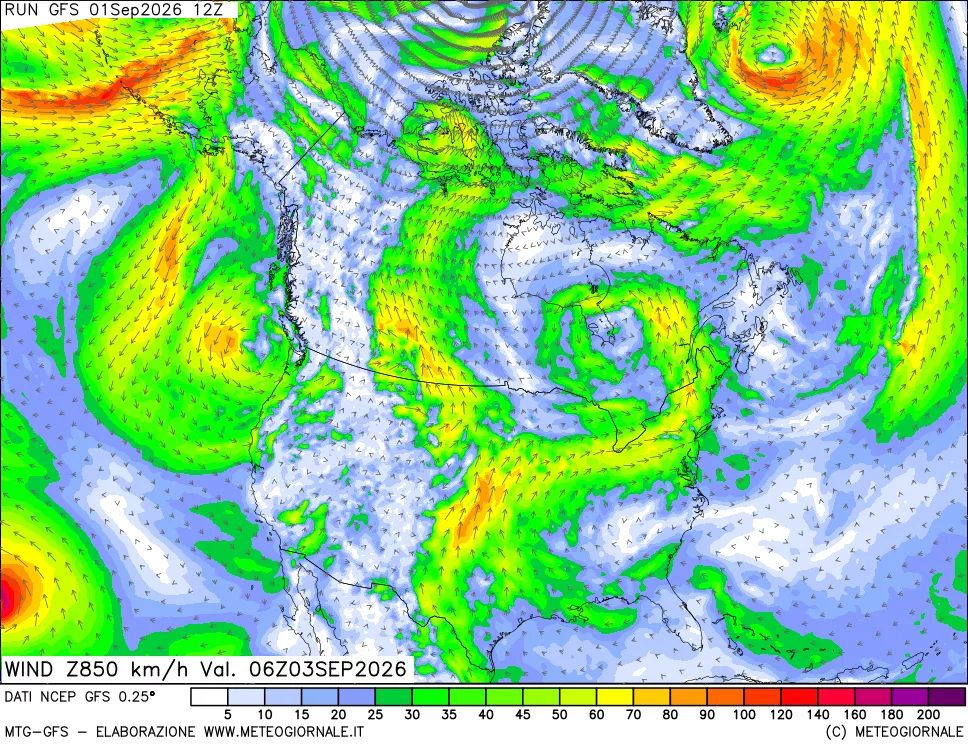 mappa 850 hPa Vento forza e direzione