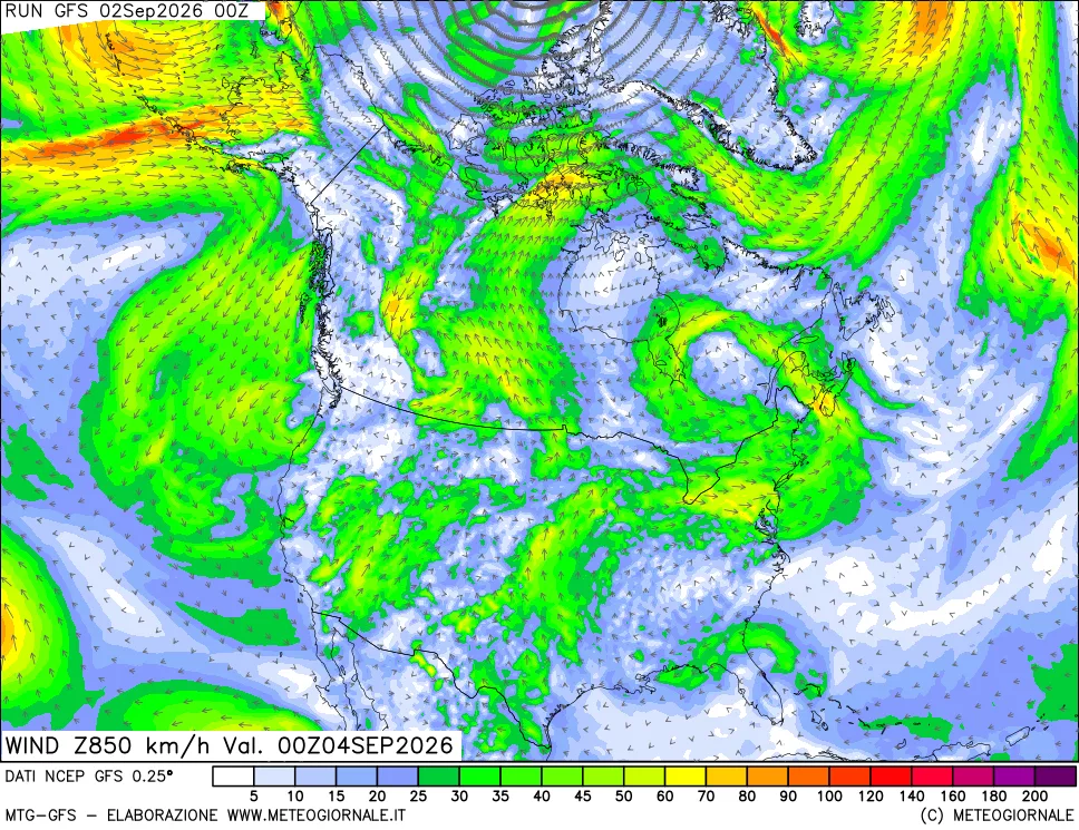 mappa 850 hPa Vento forza e direzione