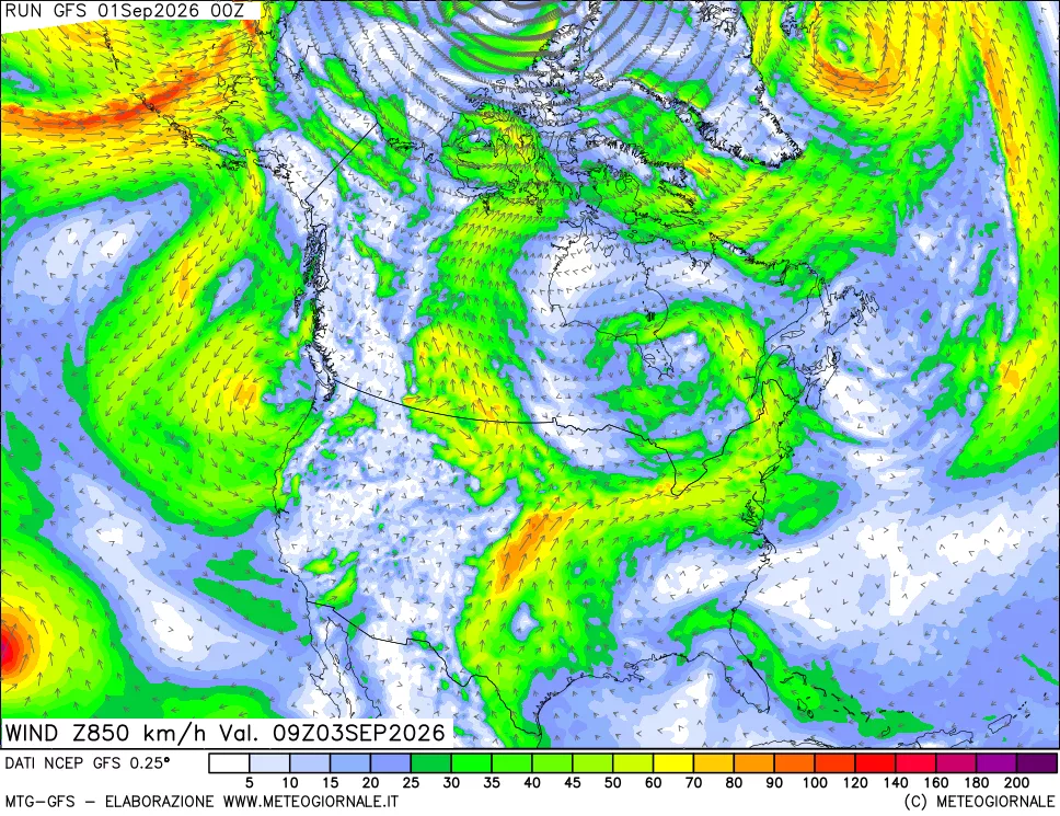 mappa 850 hPa Vento forza e direzione