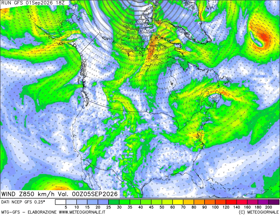 mappa 850 hPa Vento forza e direzione