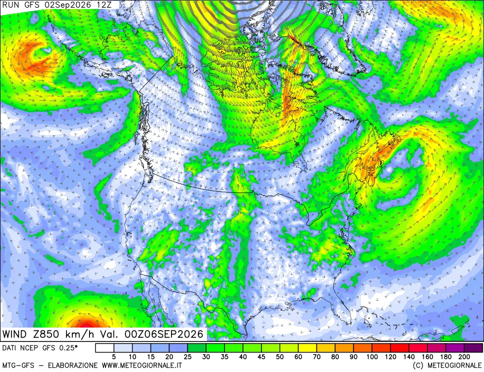 mappa 850 hPa Vento forza e direzione