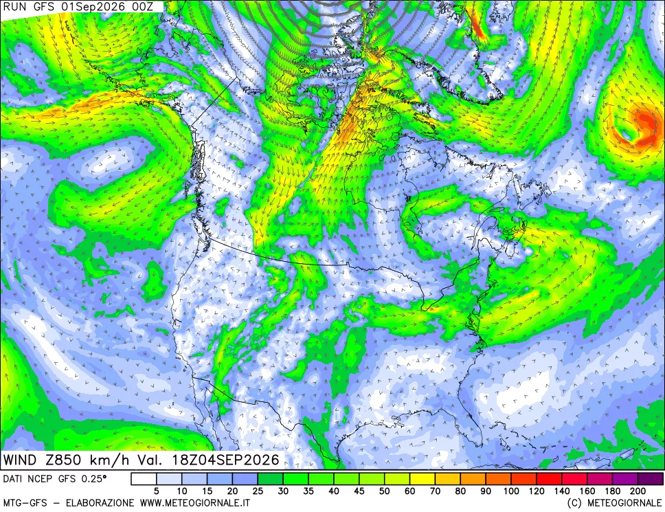 mappa 850 hPa Vento forza e direzione