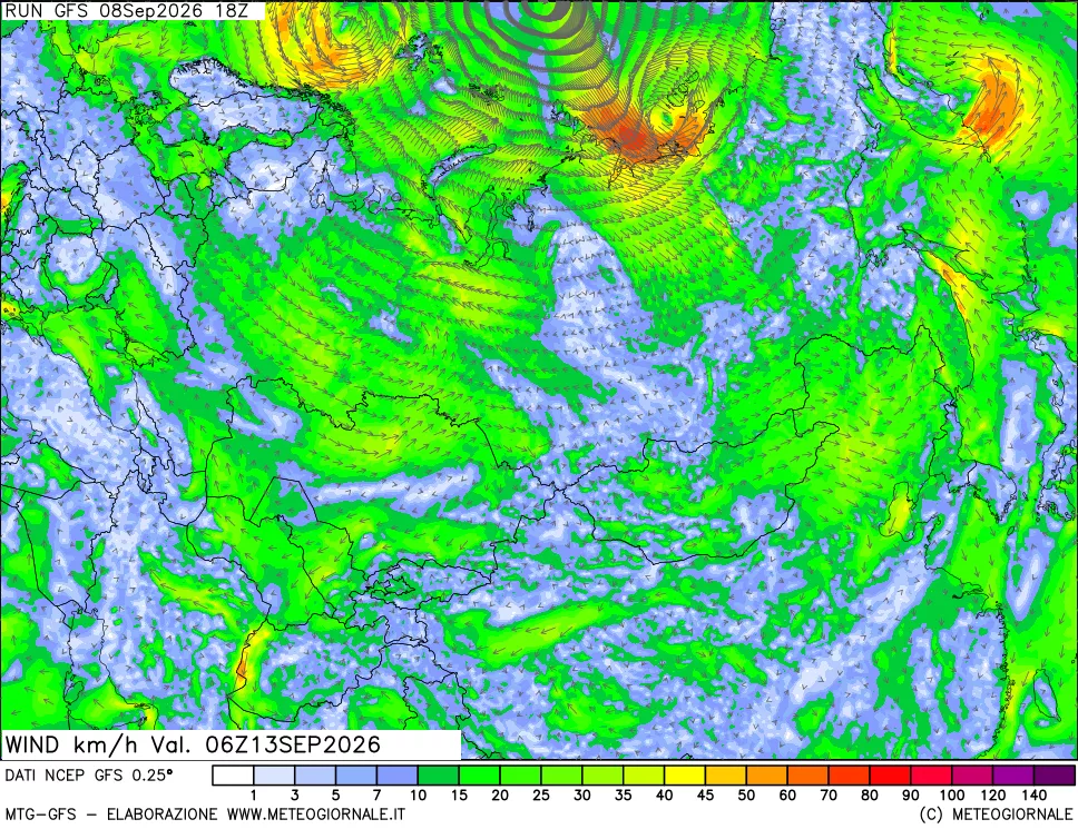 mappa 10 m Vento forza e direzione