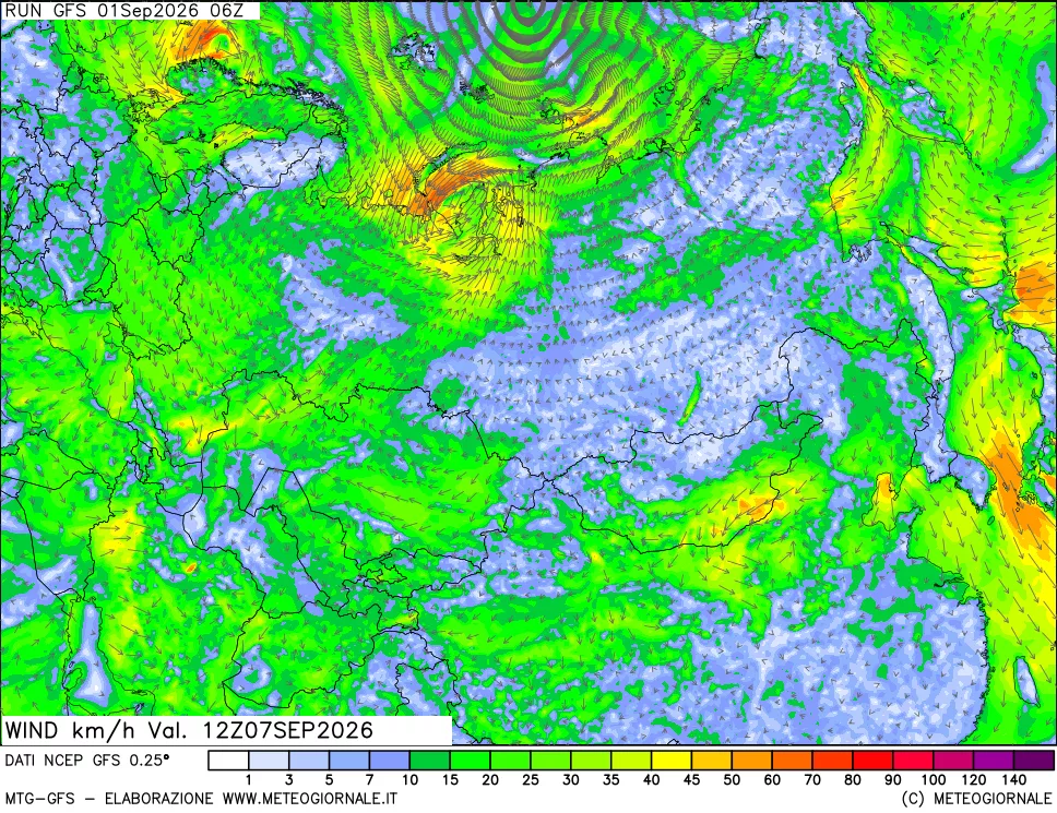 mappa 10 m Vento forza e direzione