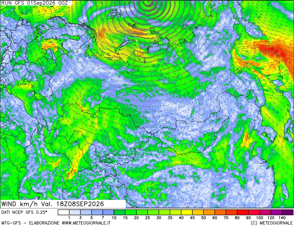 mappa 10 m Vento forza e direzione