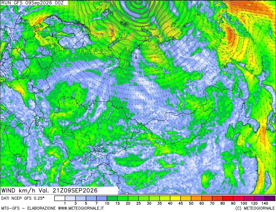 mappa 10 m Vento forza e direzione