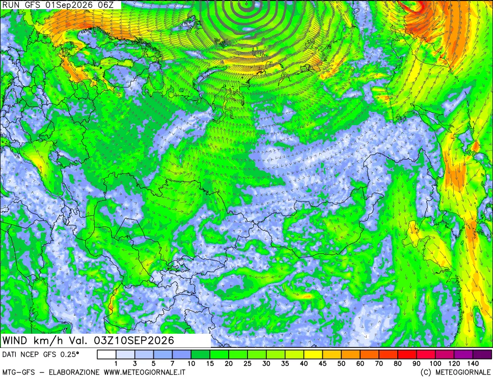 mappa 10 m Vento forza e direzione