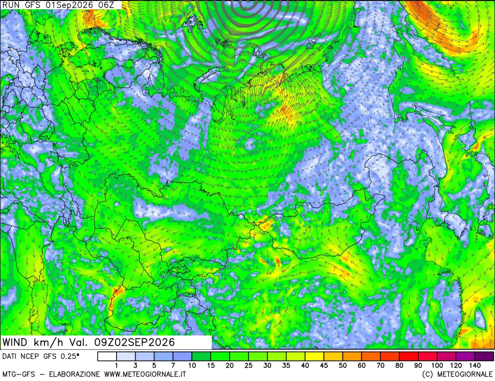 mappa 10 m Vento forza e direzione