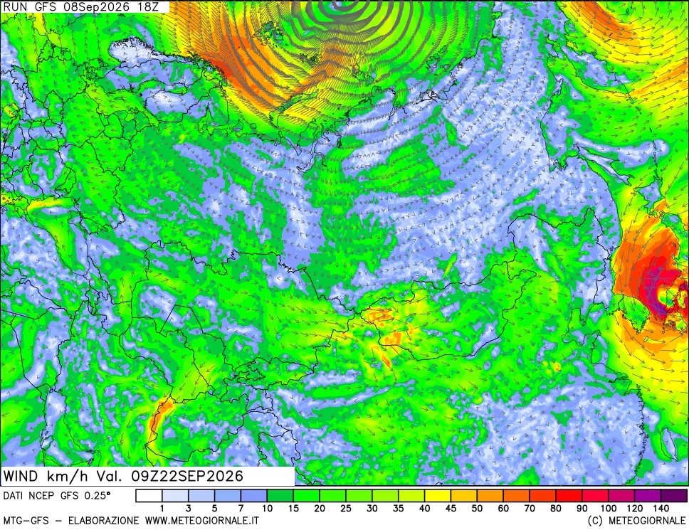 mappa 10 m Vento forza e direzione