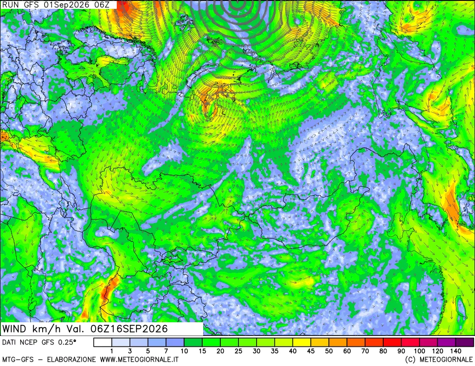 mappa 10 m Vento forza e direzione