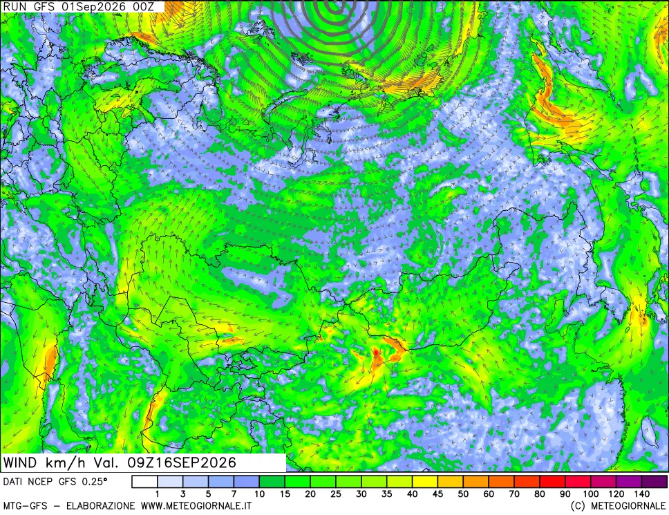 mappa 10 m Vento forza e direzione