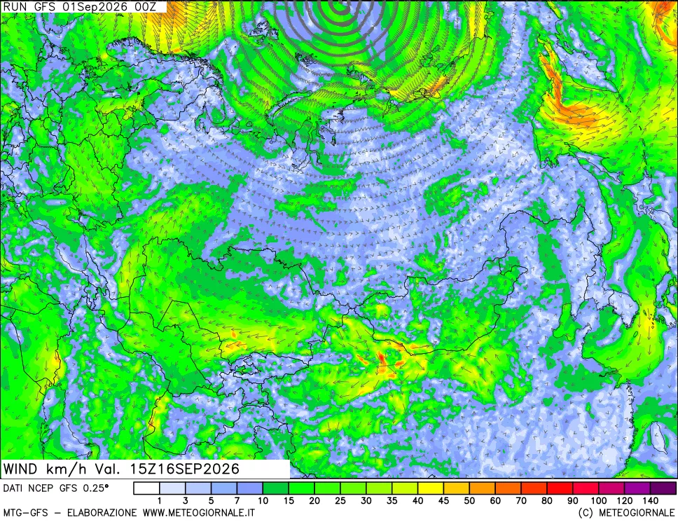mappa 10 m Vento forza e direzione