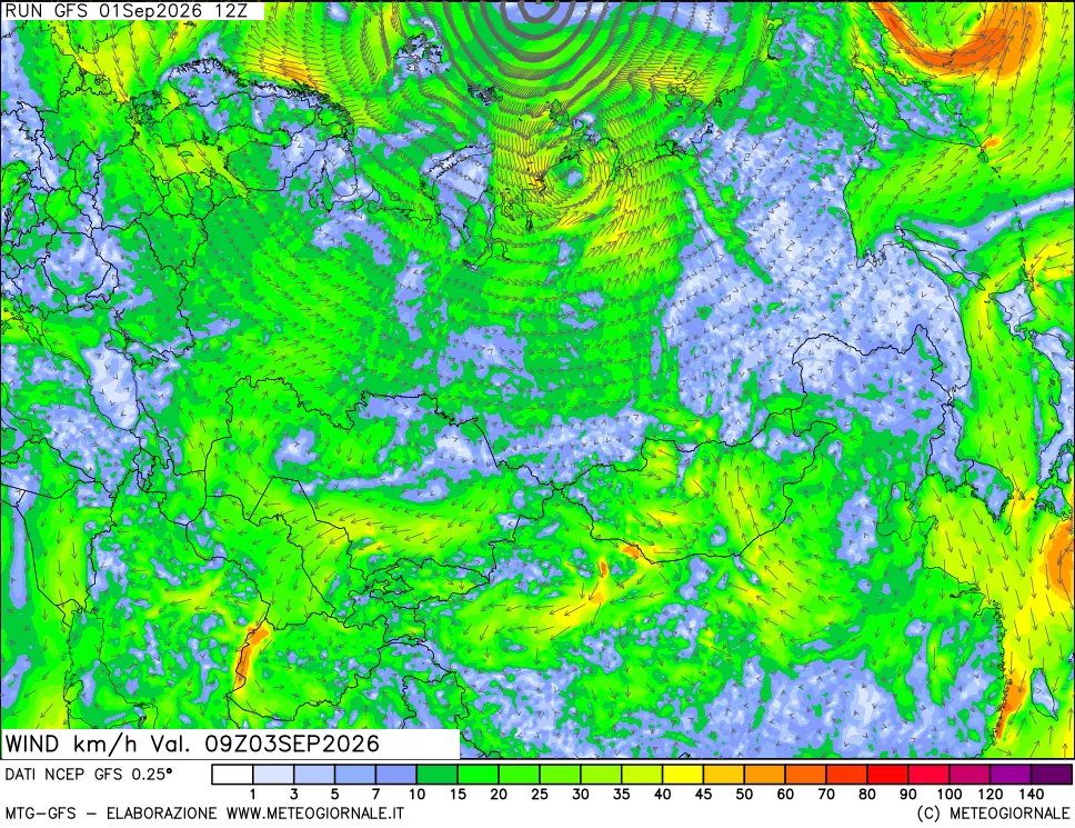 mappa 10 m Vento forza e direzione