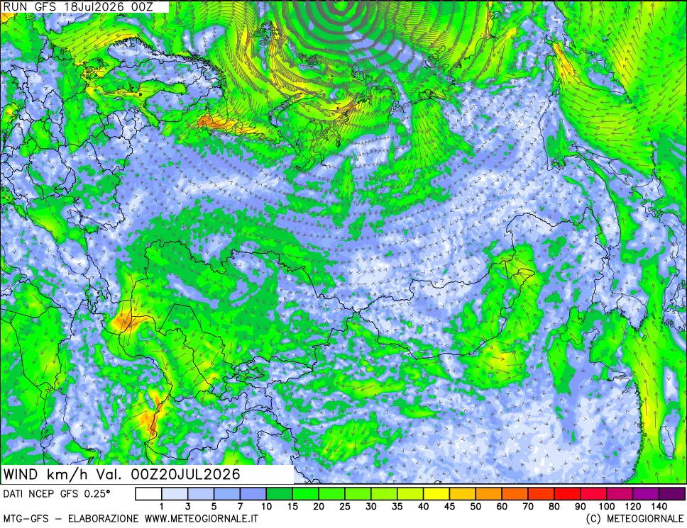 mappa 10 m Vento forza e direzione