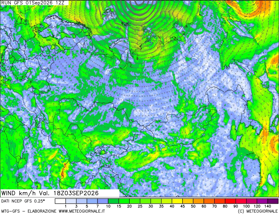 mappa 10 m Vento forza e direzione