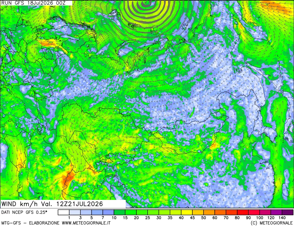 mappa 10 m Vento forza e direzione