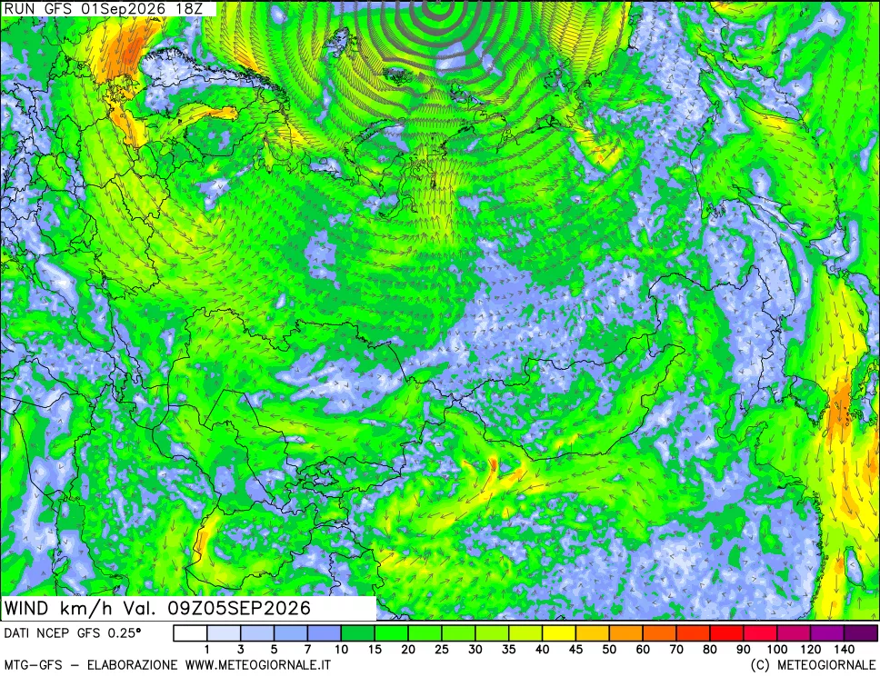 mappa 10 m Vento forza e direzione
