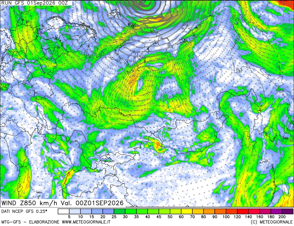 mappa 850 hPa Vento forza e direzione