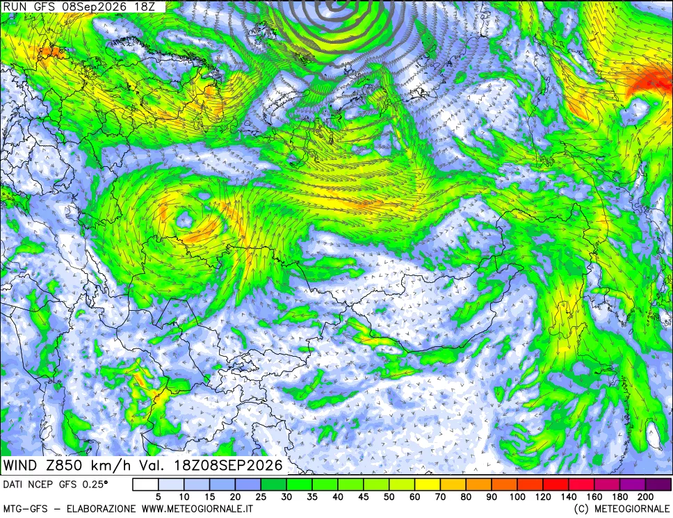 mappa 850 hPa Vento forza e direzione
